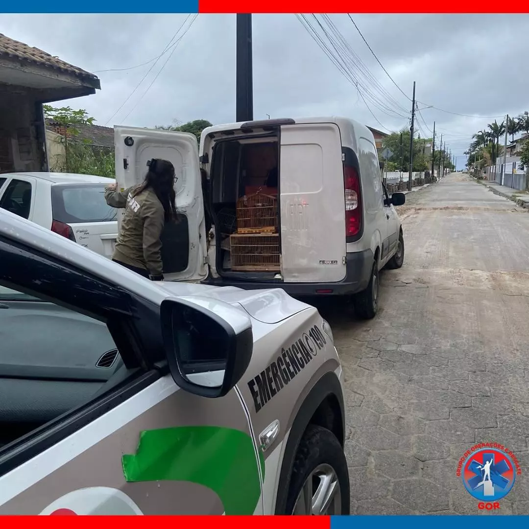 Aves silvestres são resgatadas em residência de São Francisco do Sul (1)