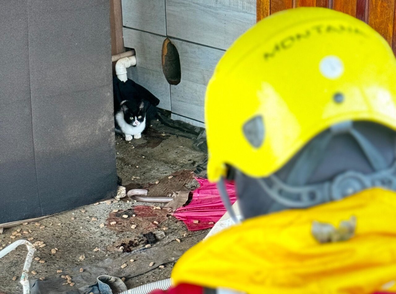 Bombeiros catarinenses já salvaram 3.500 vidas no RS