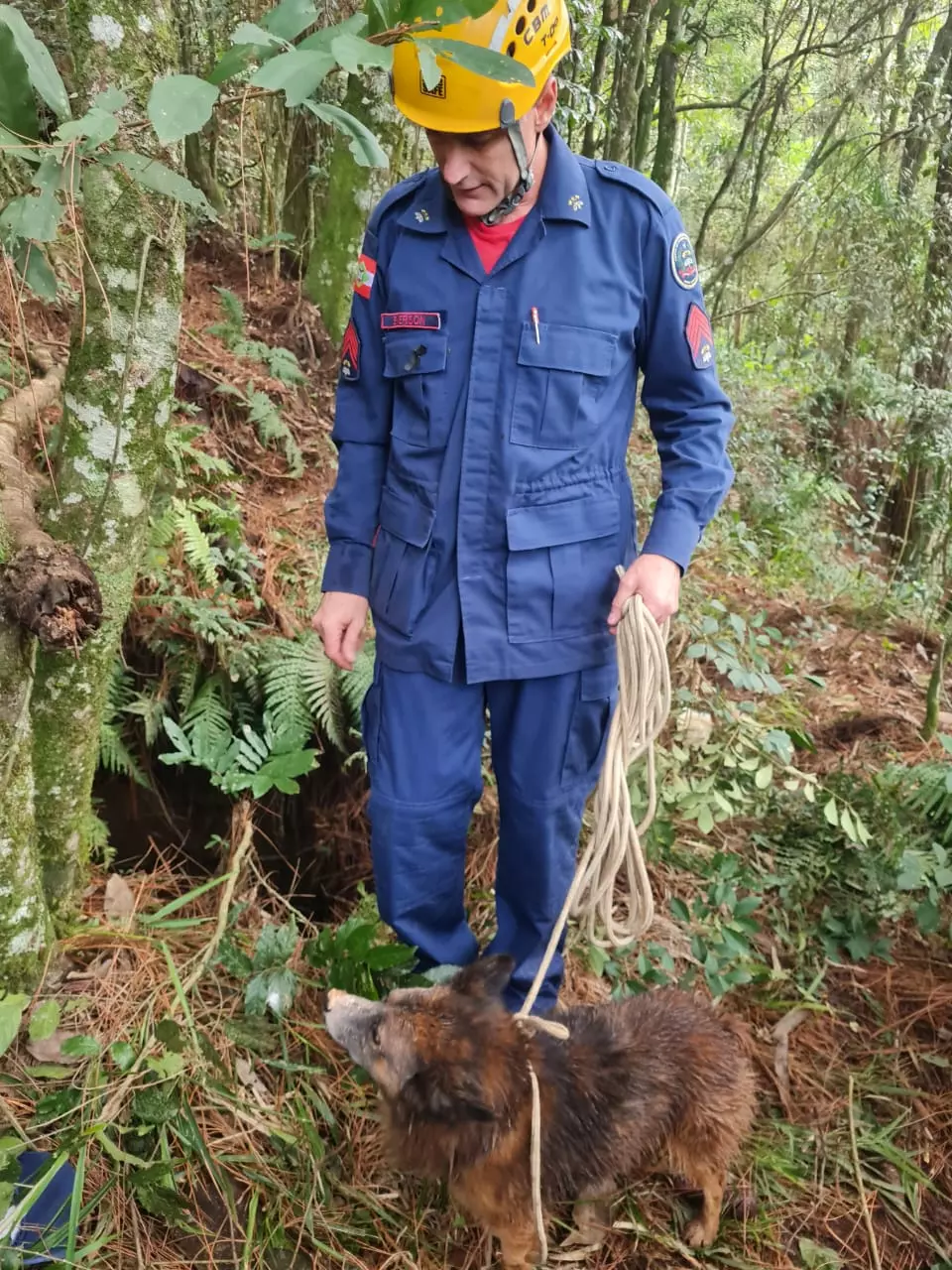 Cachorro é resgatado após cair em poço de 15 metros em SC