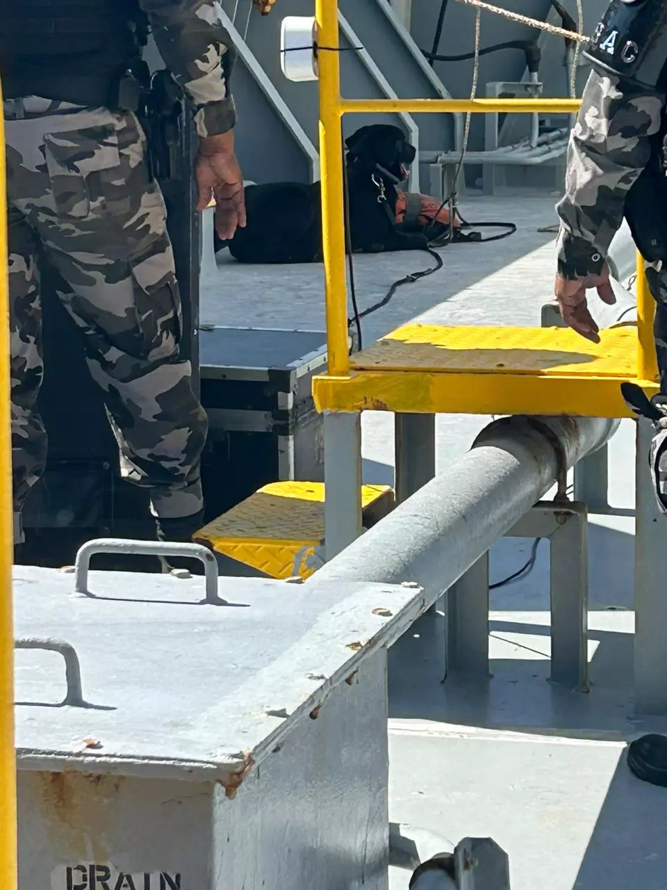 Material explosivo é encontrado em navio e equipe anti-bombas é acionada