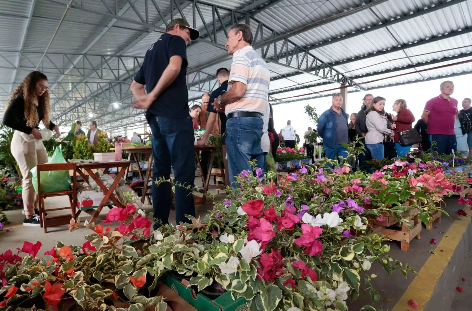 Feira gratuita oferece plantas e produtos agrícolas em Joinville