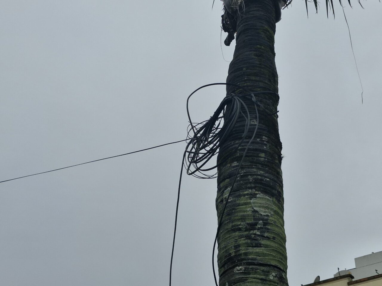 Vandalismo no centro de Lages: bancos destruídos e fios furtados