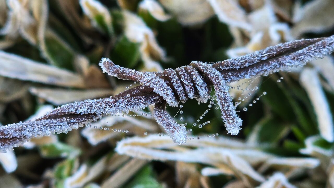 Geada e temperatura negativa marcam o amanhecer em municípios da Serra