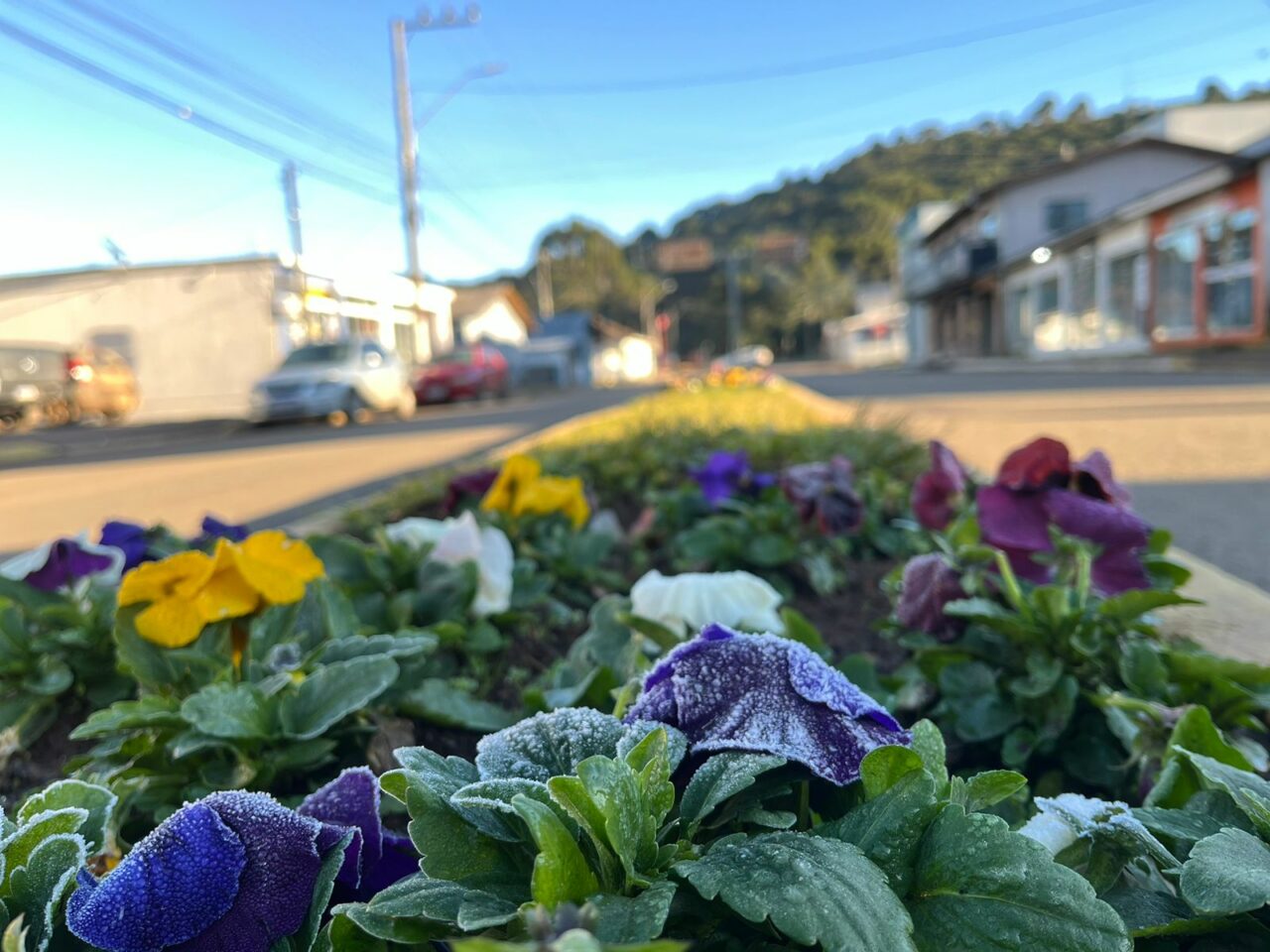 Geada e temperatura negativa marcam o amanhecer em municípios da Serra