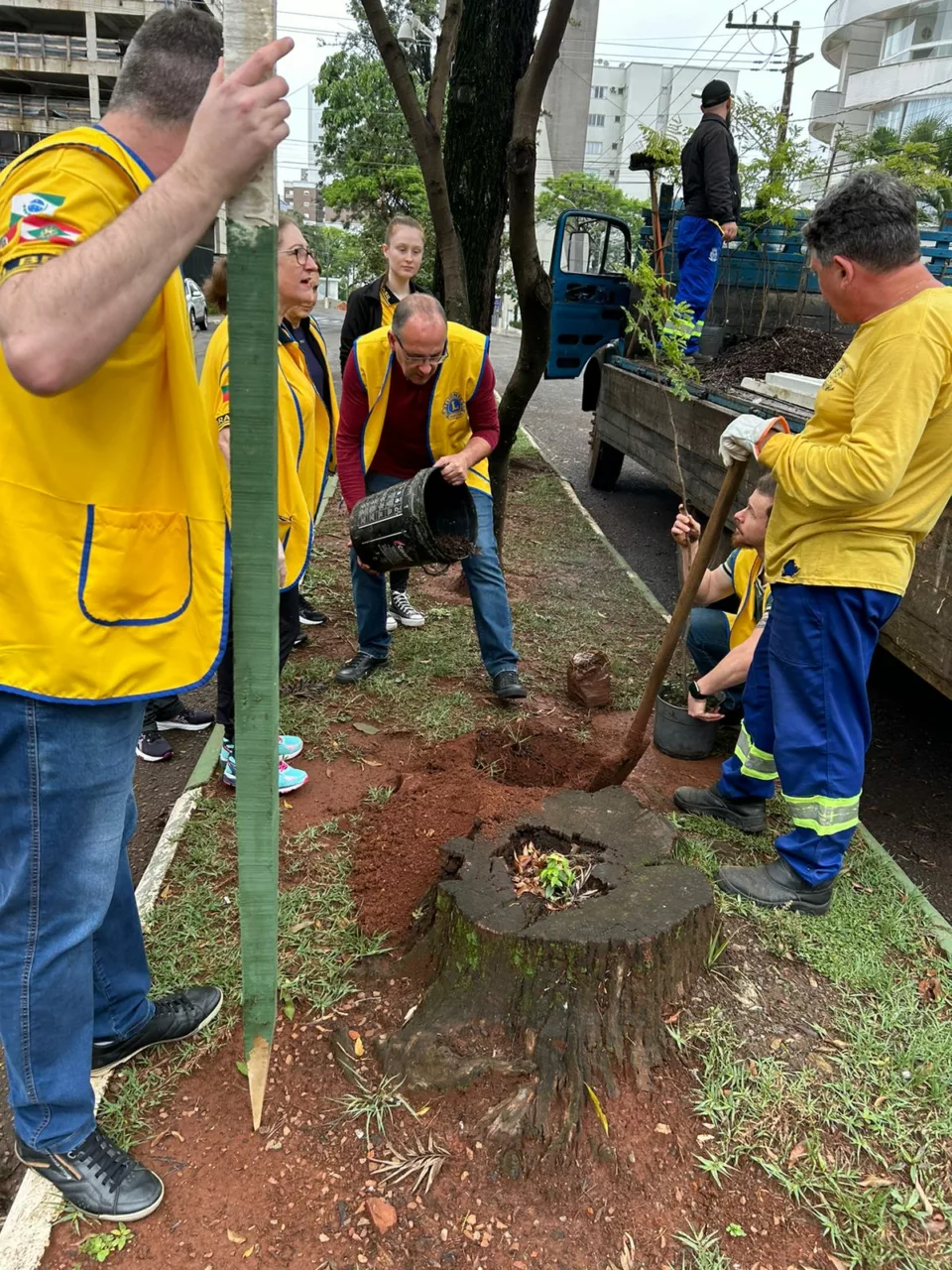 Lions Clube Chapecó Desbravador realiza plantio de árvores no centro da cidade