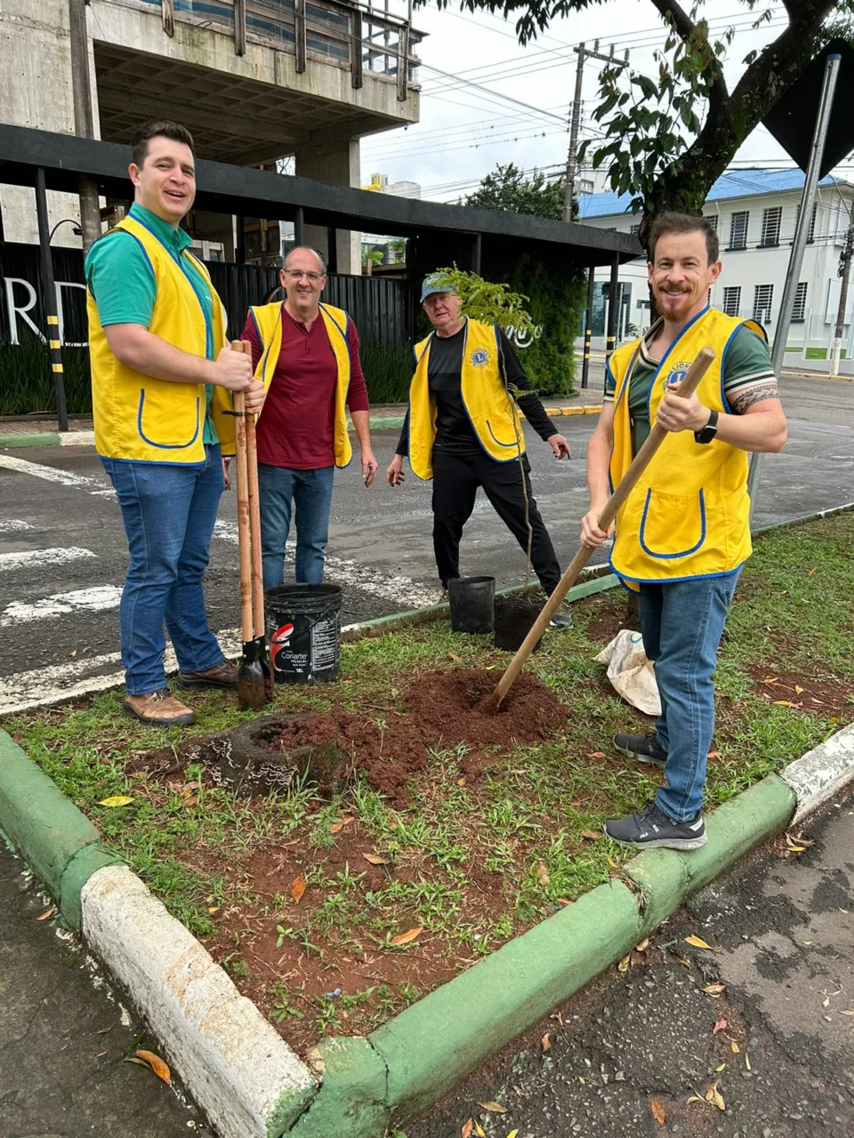 Lions Clube Chapecó Desbravador realiza plantio de árvores no centro da cidade