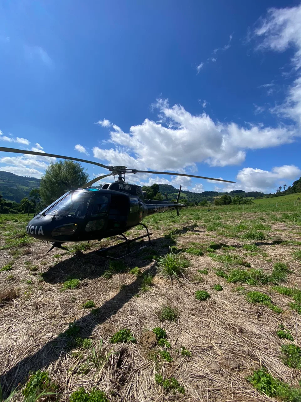 Trabalhador morre por queda de árvores no Oeste de SC