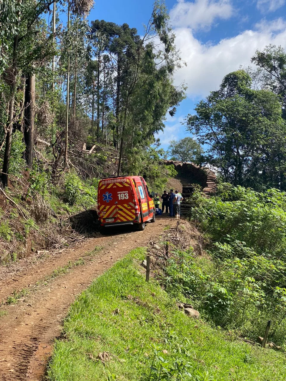 Trabalhador morre por queda de árvores no Oeste de SC